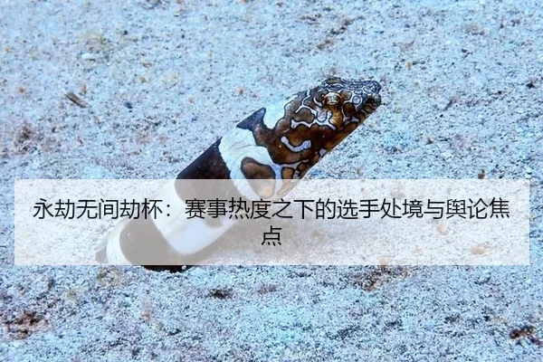 永劫无间劫杯：赛事热度之下的选手处境与舆论焦点